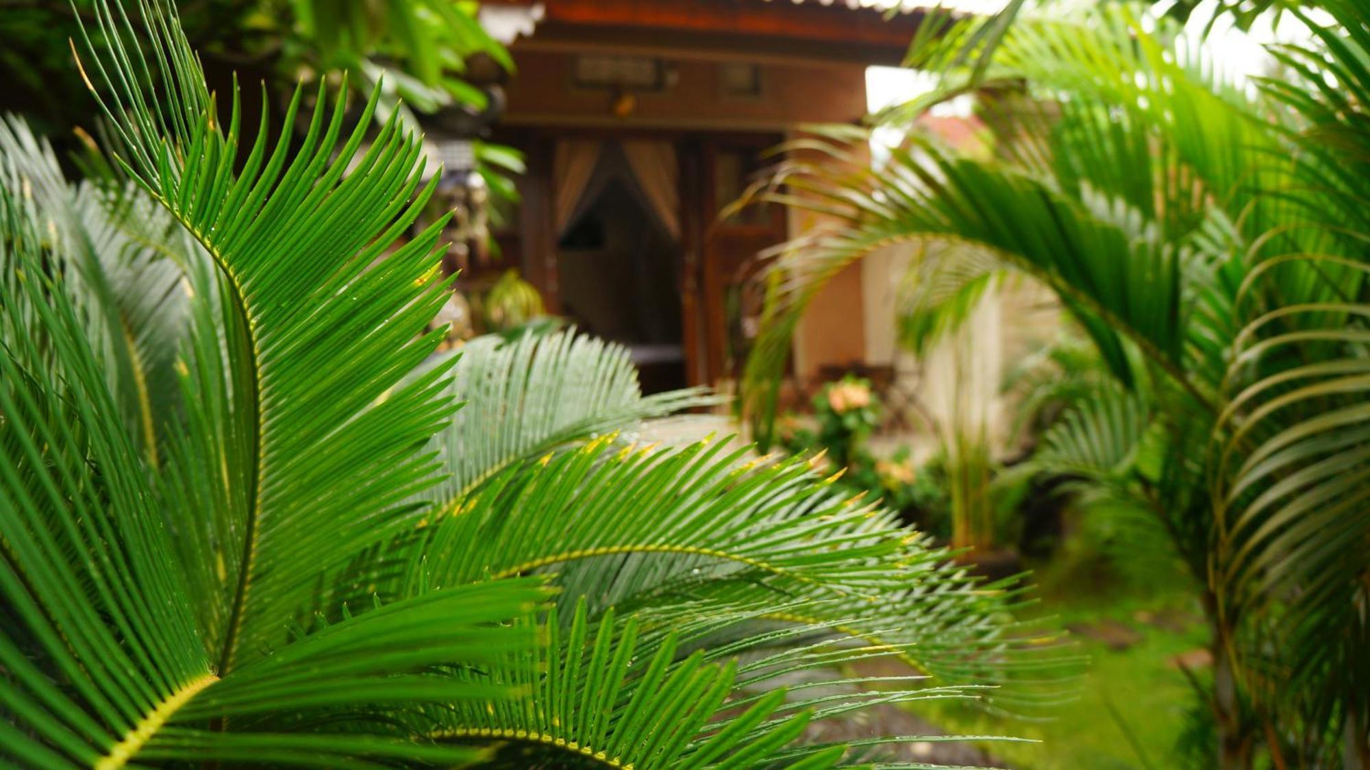 Rumahku Homestay Amed Екстериор снимка